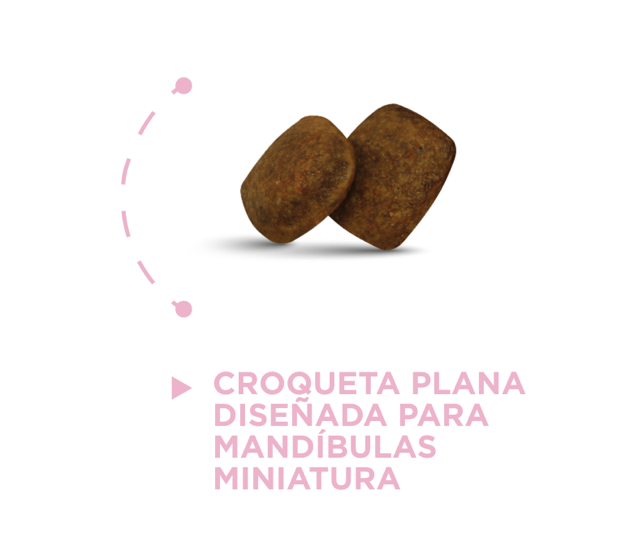 NUPEC SENIOR RAZAS MINIS 1KG