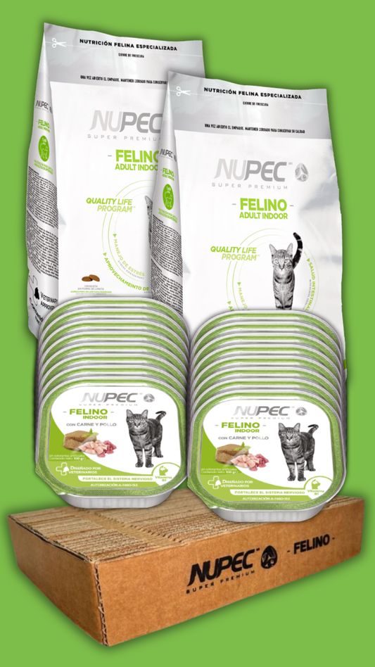 🏠 Pack Vida de Gato Indoor