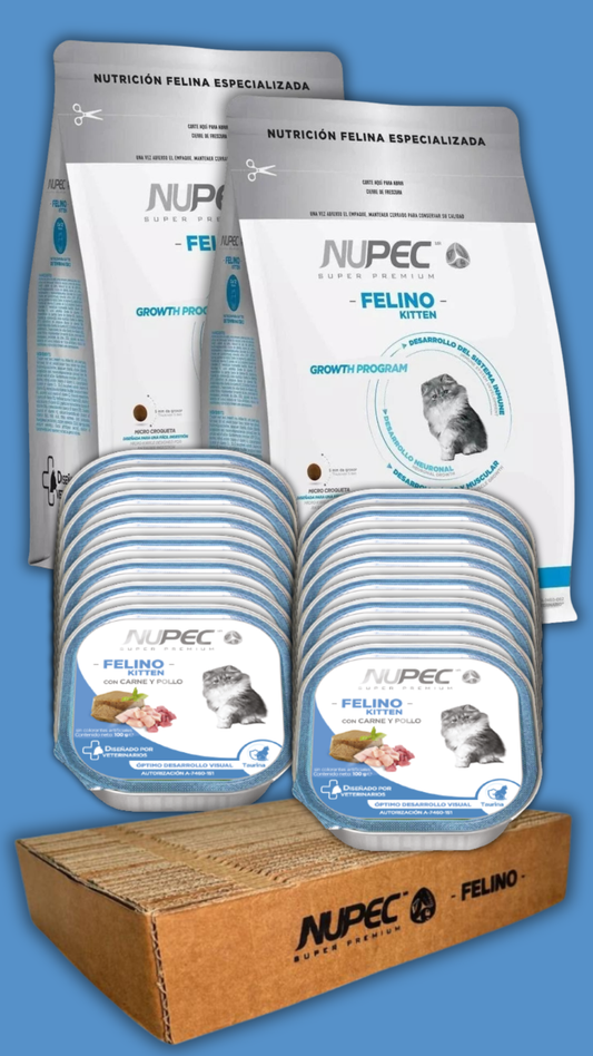 🐱 Box Primeros Ronroneos – Nupec Kitten
